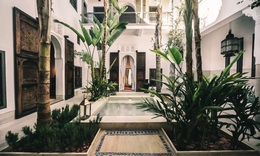 RIAD-AMAN7.jpg
