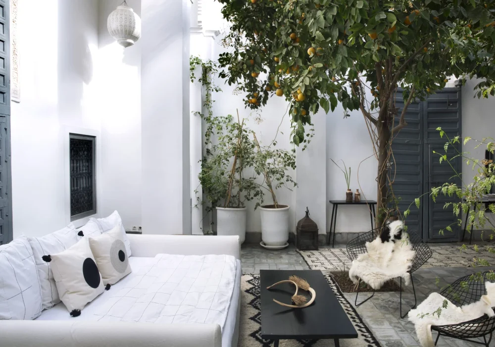 Valerie_Barkowski_DAR-KAWA_credit-patio-tania-panova-7-1-scaled.jpg